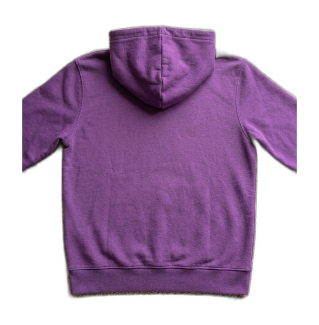Dolce & Gabbana DG logo hoodie in purple, back view